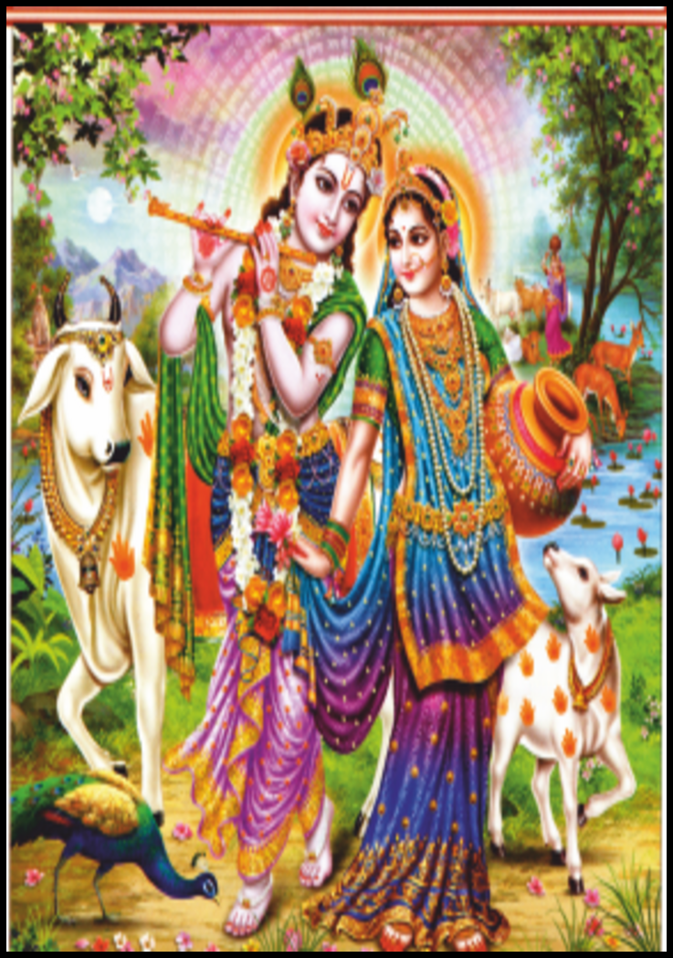 category-image